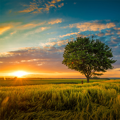 Photo-Editing-Services-for-Photographers
