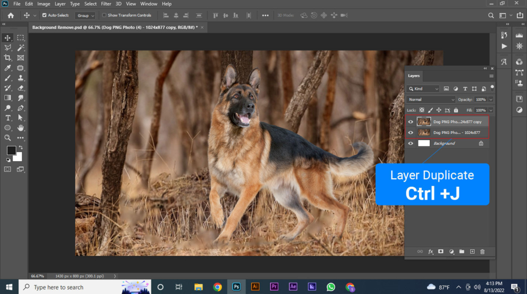 Remove Background Tool 01