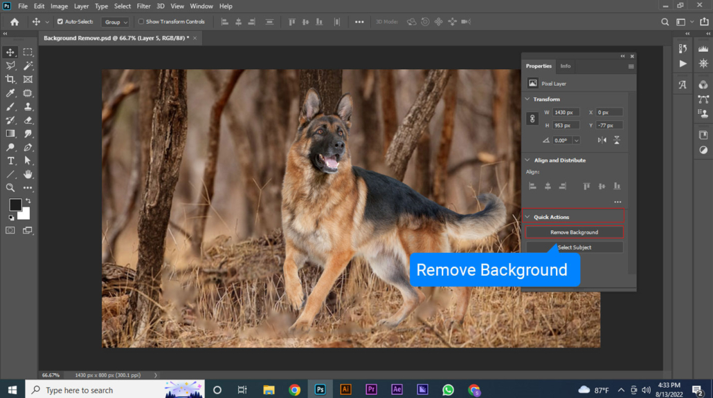 Remove Background Tool 02