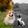 Coloring-your-B&W-photos