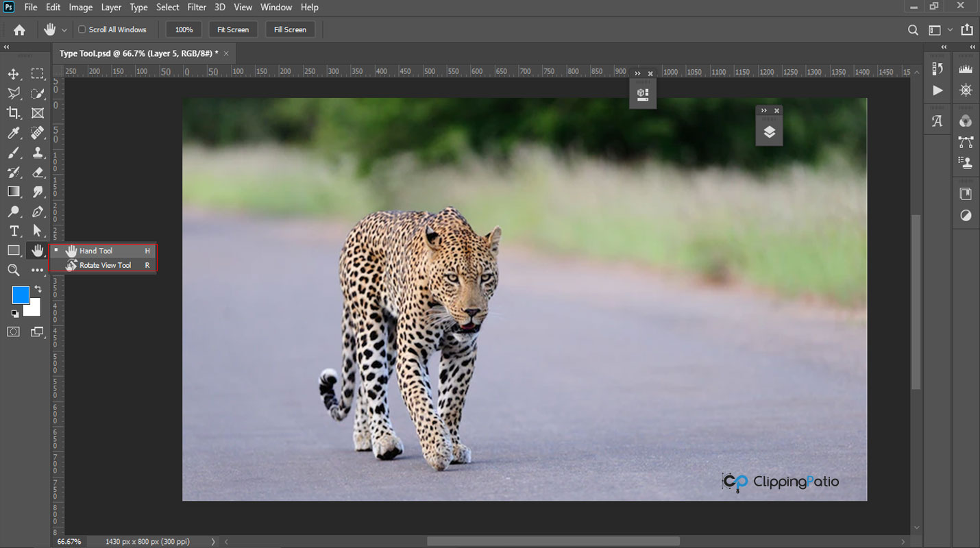 Photoshop Hand Tool